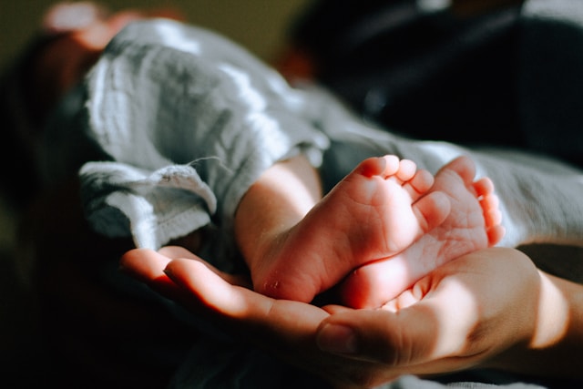 What is the adoption process?